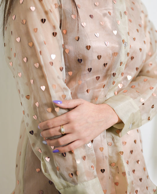 Embroidered Organza Shirt